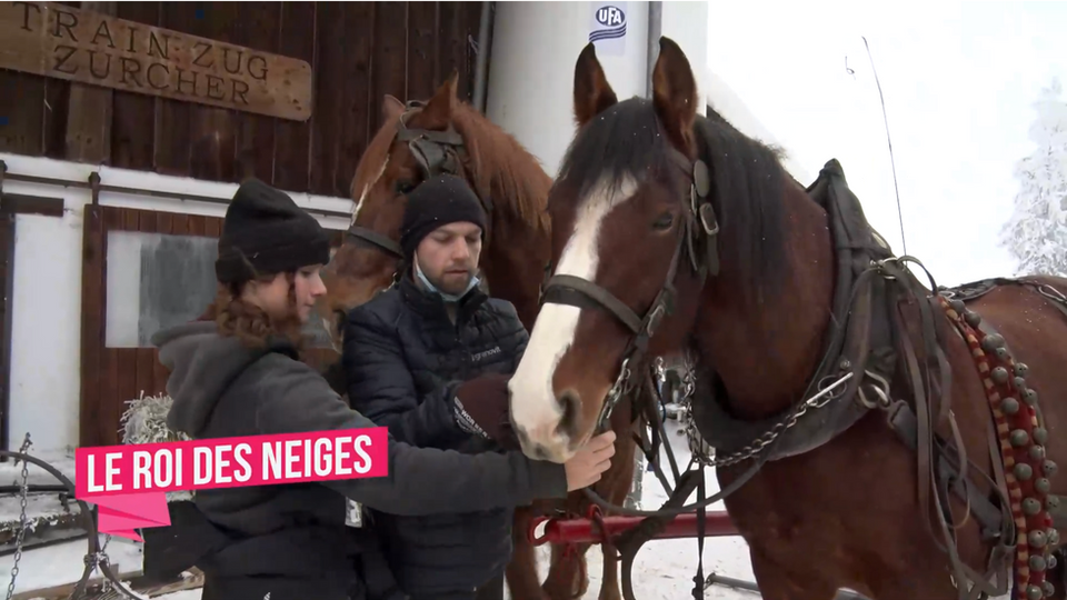 „Le roi des neiges“ - Praktikumsfamilie Zürcher auf dem Mont-Crosin